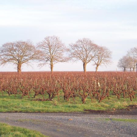 La Genoise Bed & Breakfast Tillieres Luaran gambar