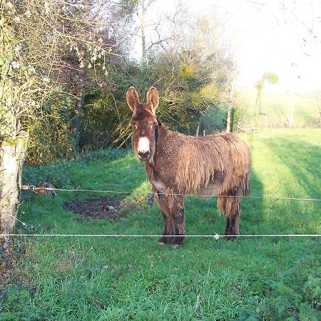 La Genoise Bed & Breakfast Tillieres Luaran gambar