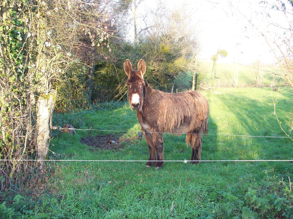 La Genoise Bed & Breakfast Tillieres Luaran gambar