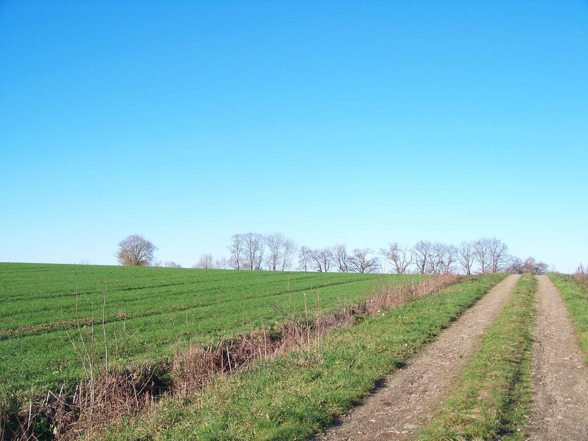 La Genoise Bed & Breakfast Tillieres Luaran gambar